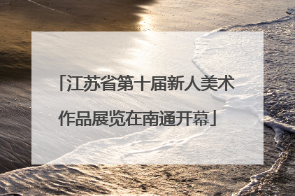 江苏省第十届新人美术作品展览在南通开幕