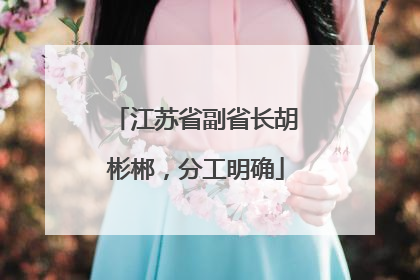 江苏省副省长胡彬郴，分工明确