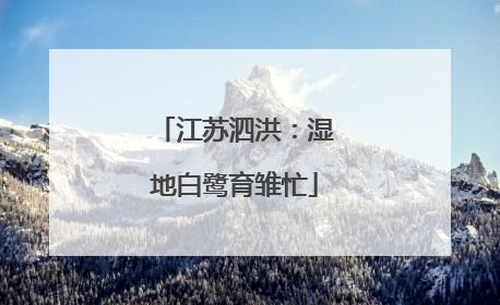 江苏泗洪：湿地白鹭育雏忙