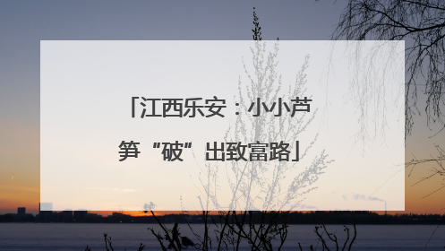 江西乐安：小小芦笋“破”出致富路