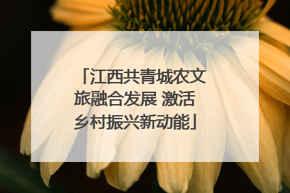江西共青城农文旅融合发展 激活乡村振兴新动能