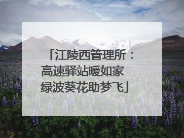 江陵西管理所：高速驿站暖如家 绿波葵花助梦飞