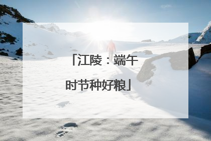 江陵：端午时节种好粮