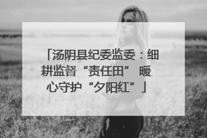 汤阴县纪委监委：细耕监督“责任田” 暖心守护“夕阳红”
