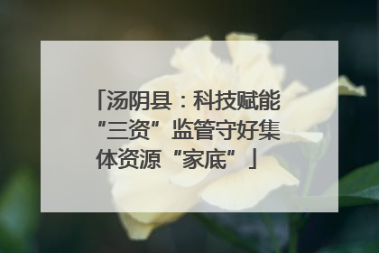 汤阴县：科技赋能“三资”监管守好集体资源“家底”