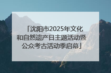 沈阳市2025年文化和自然遗产日主题活动暨公众考古活动季启幕
