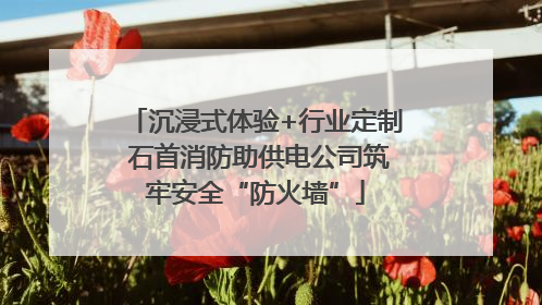沉浸式体验+行业定制 石首消防助供电公司筑牢安全“防火墙”