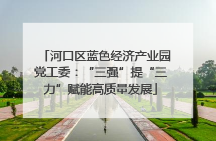 河口区蓝色经济产业园党工委：“三强”提“三力”赋能高质量发展