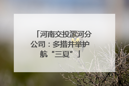 河南交投漯河分公司：多措并举护航“三夏”