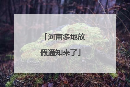 河南多地放假通知来了