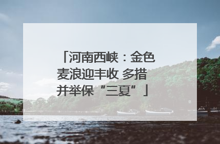 河南西峡：金色麦浪迎丰收 多措并举保“三夏”