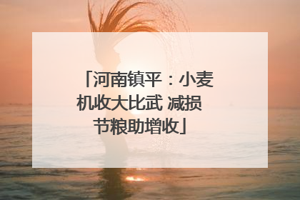 河南镇平：小麦机收大比武 减损节粮助增收