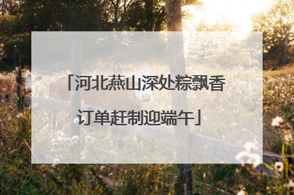 河北燕山深处粽飘香 订单赶制迎端午