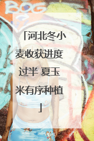 河北冬小麦收获进度过半 夏玉米有序种植