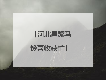 河北昌黎马铃薯收获忙