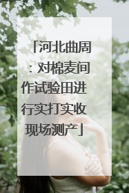 河北曲周：对棉麦间作试验田进行实打实收现场测产
