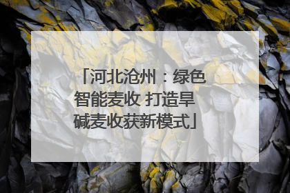 河北沧州：绿色智能麦收 打造旱碱麦收获新模式