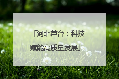 河北芦台：科技赋能高质量发展