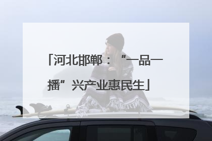 河北邯郸：“一品一播”兴产业惠民生