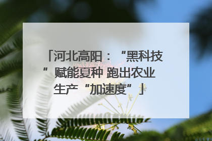 河北高阳：“黑科技”赋能夏种 跑出农业生产“加速度”