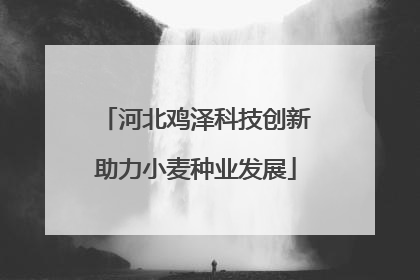 河北鸡泽科技创新助力小麦种业发展