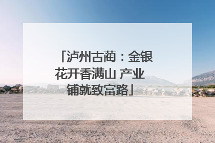 泸州古蔺：金银花开香满山 产业铺就致富路