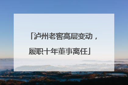 泸州老窖高层变动，履职十年董事离任