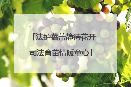 法护蓓蕾静待花开 司法育苗情暖童心