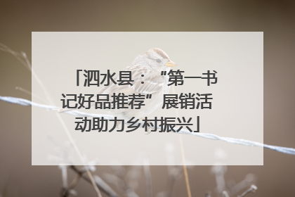 泗水县：“第一书记好品推荐”展销活动助力乡村振兴