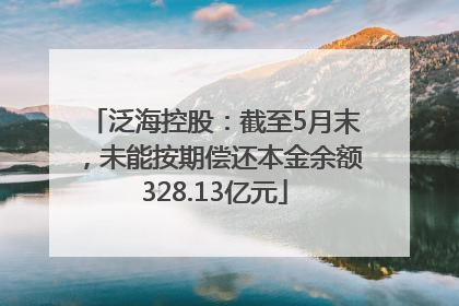 泛海控股：截至5月末，未能按期偿还本金余额328.13亿元
