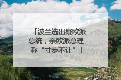 波兰选出疑欧派总统，亲欧派总理称“寸步不让”