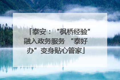 泰安：“枫桥经验”融入政务服务 “泰好办”变身贴心管家