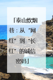泰山炊烟巷：从“网红”到“长红”的诚信密码