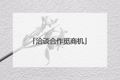 洽谈合作觅商机