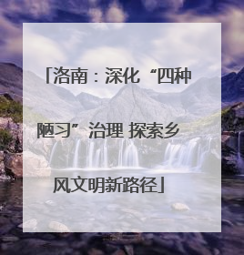 洛南：深化“四种陋习”治理 探索乡风文明新路径