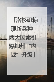 洛杉矶惊现新兵种 两大因素引爆加州“内战”升级
