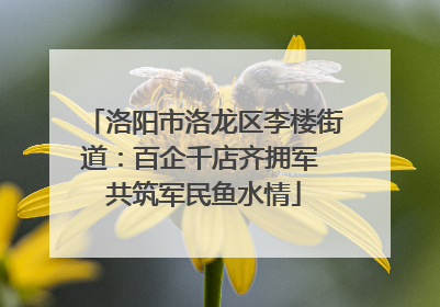 洛阳市洛龙区李楼街道：百企千店齐拥军 共筑军民鱼水情