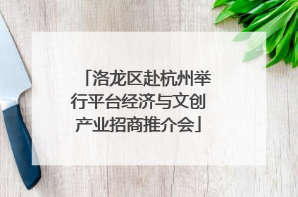 洛龙区赴杭州举行平台经济与文创产业招商推介会