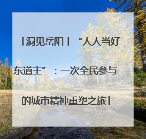 洞见岳阳丨“人人当好东道主”：一次全民参与的城市精神重塑之旅