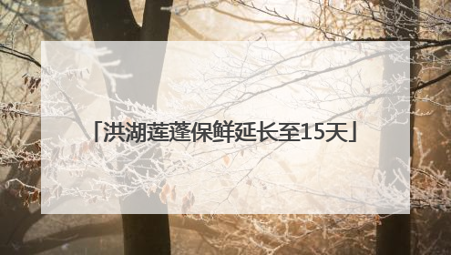 洪湖莲蓬保鲜延长至15天