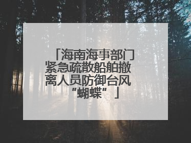 海南海事部门紧急疏散船舶撤离人员防御台风“蝴蝶”