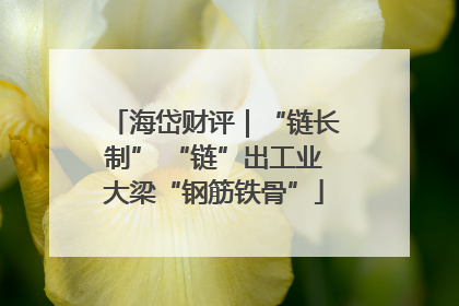 海岱财评｜“链长制” “链”出工业大梁“钢筋铁骨”