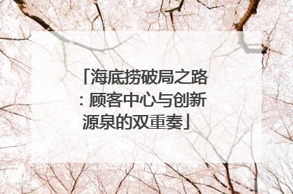 海底捞破局之路：顾客中心与创新源泉的双重奏
