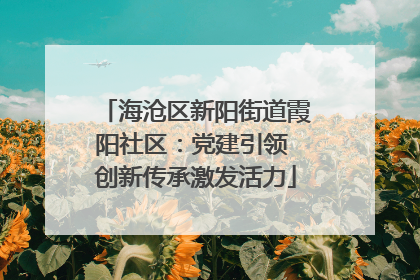海沧区新阳街道霞阳社区：党建引领 创新传承激发活力