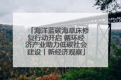 海洋蓝碳海草床修复行动开启 循环经济产业助力低碳社会建设丨新经济观察