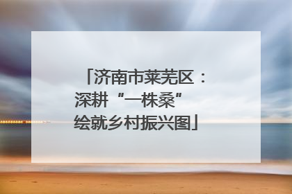 济南市莱芜区：深耕“一株桑” 绘就乡村振兴图
