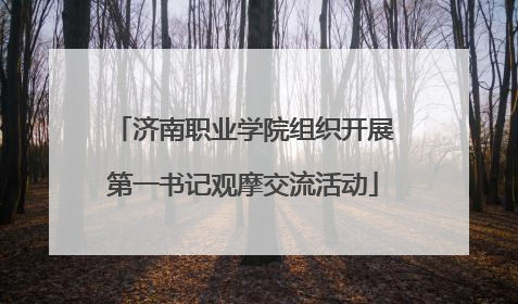济南职业学院组织开展第一书记观摩交流活动