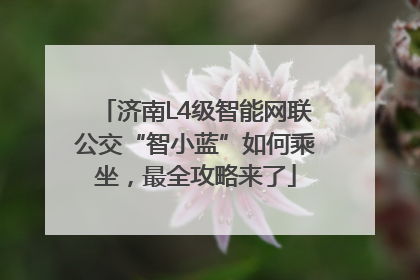 济南L4级智能网联公交“智小蓝”如何乘坐，最全攻略来了