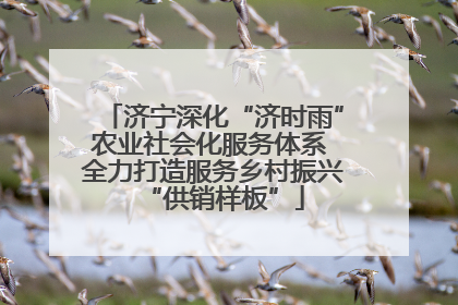 济宁深化“济时雨”农业社会化服务体系 全力打造服务乡村振兴“供销样板”