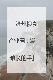 济州粮食产业园：满班长的手